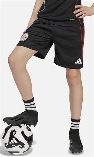 Adidas Ajax tr short y JP1746