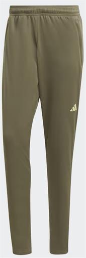 Adidas Tr-es+ pant IJ9611 olistr/pu