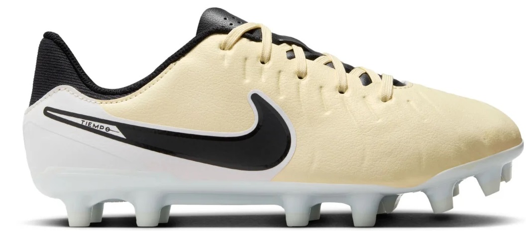 Nike Legend 10 academy fg/mg DV4348-700