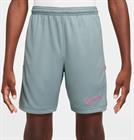 nike-nike-academy25-big-kids-dri-f-hj3718-395