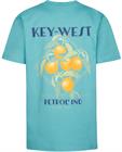 petrol-ind-boys-t-shirt-ss-tsr649-6169
