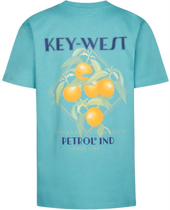 petrol-ind-boys-t-shirt-ss-tsr649-6169
