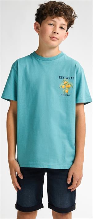 petrol-ind-boys-t-shirt-ss-tsr649-6169
