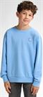 petrol-ind-sweater-round-neck-swr352-5028