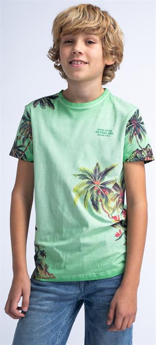 petrol-ind-t-shirt-ss-mens-tsr673-6159