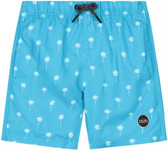 Shiwi Boys swim shorts 2441110222-613