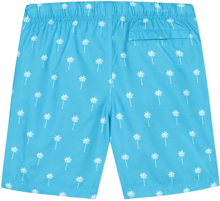 shiwi-boys-swim-shorts-2441110222-613