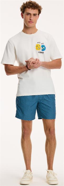 shiwi-mens-swimshort-1441110245-650