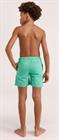 shiwi-swim-short-mick-2400110000-676