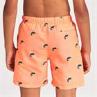 shiwi-swim-short-micro-2421110103-208