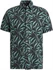 vanguard-short-sleeve-shirt-print-on-pi-vsis2404259-9139